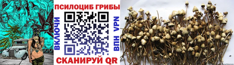 цены наркотик  Когалым  Галлюциногенные грибы мухоморы 
